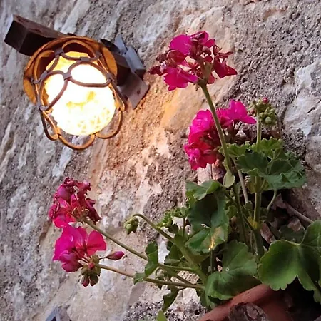 Foresteria Della Certosa