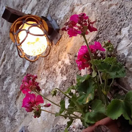 Foresteria Della Certosa Bed & Breakfast