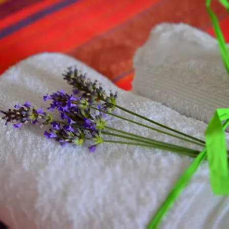 Foresteria Della Certosa Collepardo