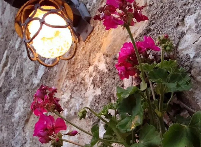 Foresteria Della Certosa 住宿加早餐酒店