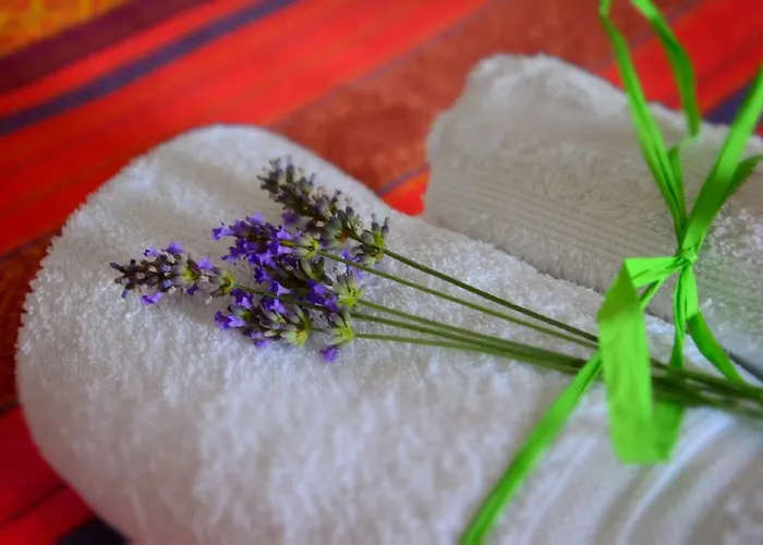 Foresteria Della Certosa Collepardo